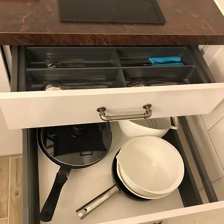 The Cow Apartament *