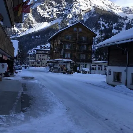 The Cow Appartement Kandersteg