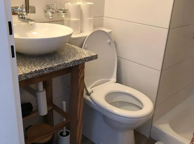 The Cow * Kandersteg