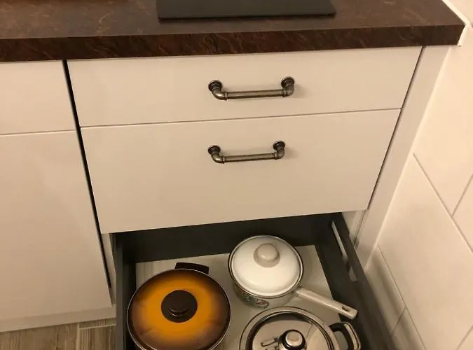 The Cow Lejlighed Kandersteg